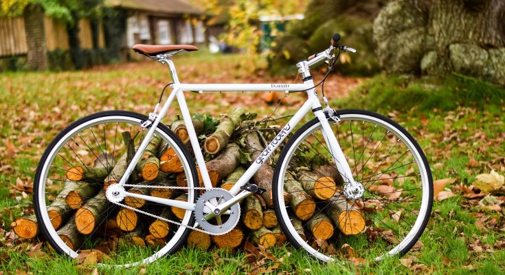 Szentendre Skanzen biciklitúrák